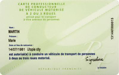 Carte professionnelle VMDTR